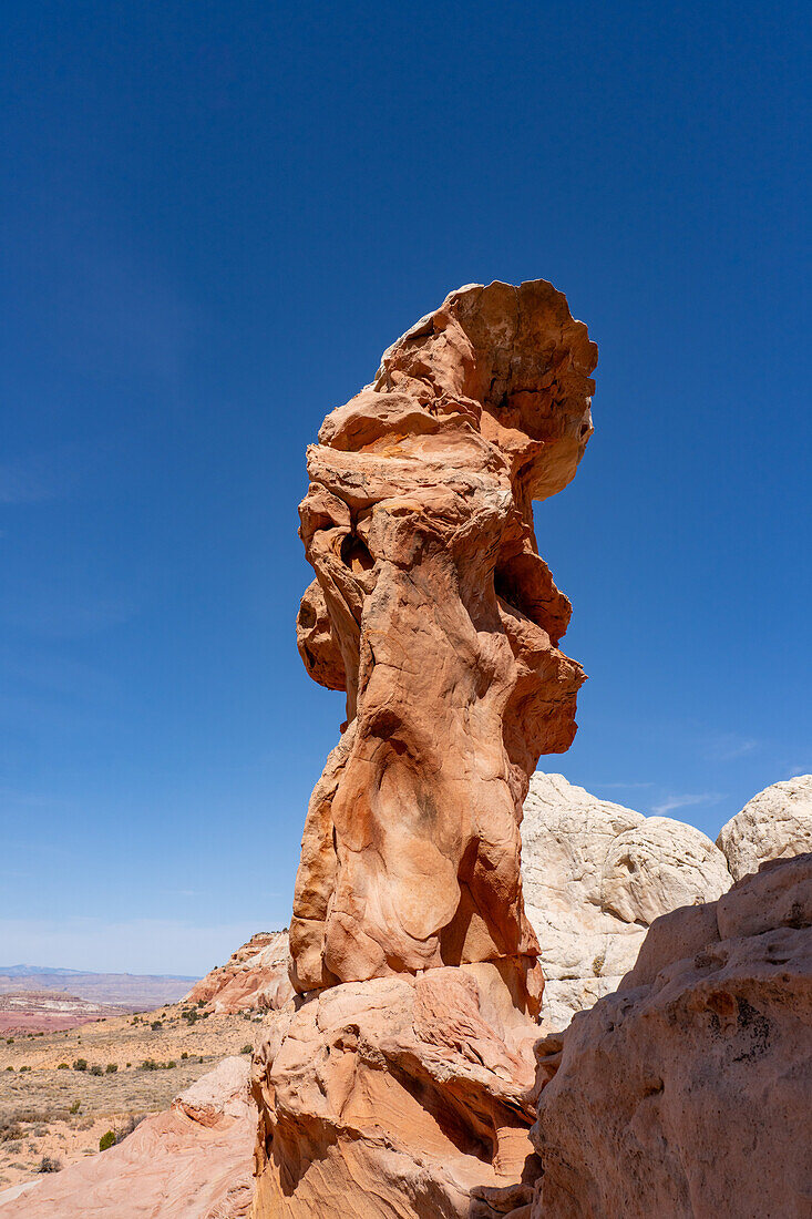 A sandstone hoodoo rock formation in the White Pocket Recreation Area, Vermilion Cliffs National Monument, Arizona.