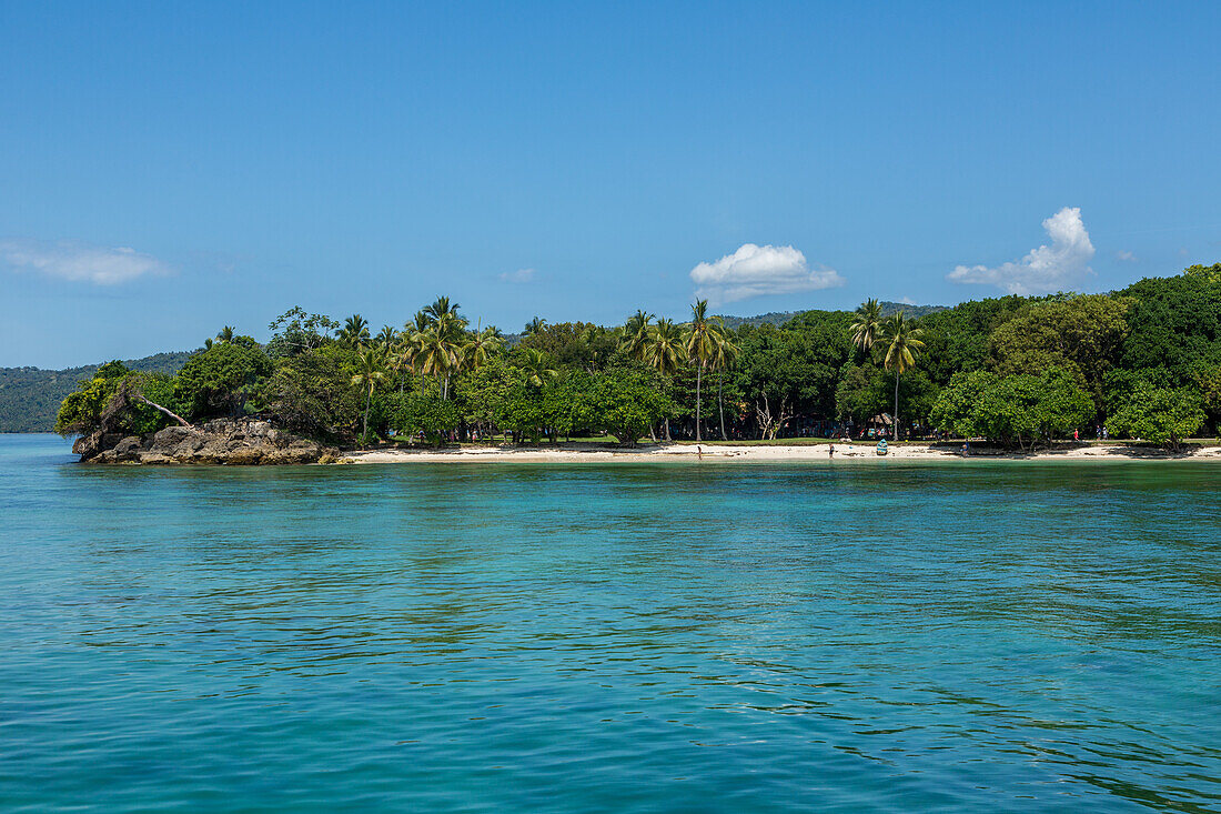 Palm trees on Cayo Levantado, a resort island in the Bay of Samana in the Dominican Republic.