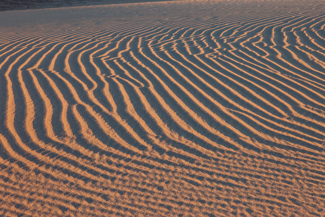 Ripple patterns in the Mesquite Flat sand dunes near Stovepipe Wells in the Mojave Desert in Death Valley National Park, California.