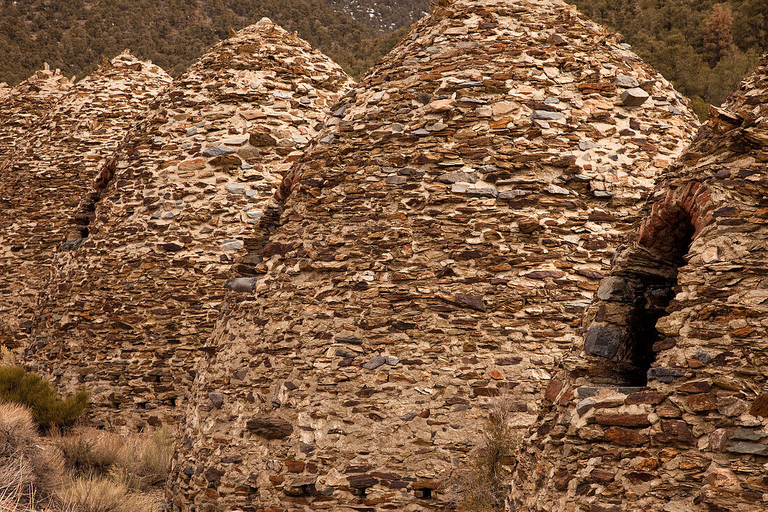 Die Wildrose-Kohleöfen wurden 1877 von einer Bergbaugesellschaft gebaut, um Brennstoff für die nahe gelegenen Blei- und Silberminen zu liefern. Death Valley National Park, Kalifornien