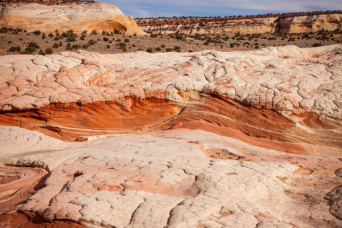 Colorful eroded Navajo sandstone in the White Pocket Recreation Area, Vermilion Cliffs National Monument, Arizona.