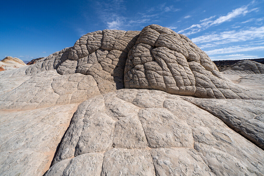 White pillow rock or brain rock sandstone in the White Pocket Recreation Area, Vermilion Cliffs National Monument, Arizona. A form of Navajo sandstone.