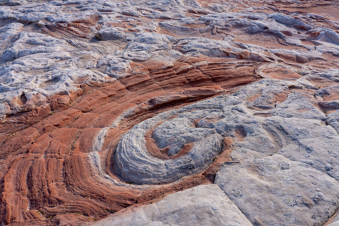 Red swirl in eroded Navajo sandstone. White Pocket Recreation Area, Vermilion Cliffs National Monument, Arizona.