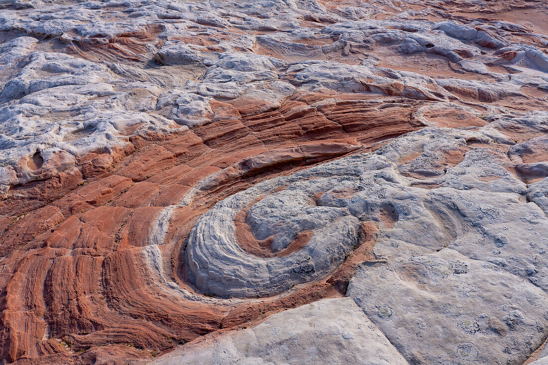 Roter Strudel im erodierten Navajo-Sandstein. White Pocket Recreation Area, Vermilion Cliffs National Monument, Arizona