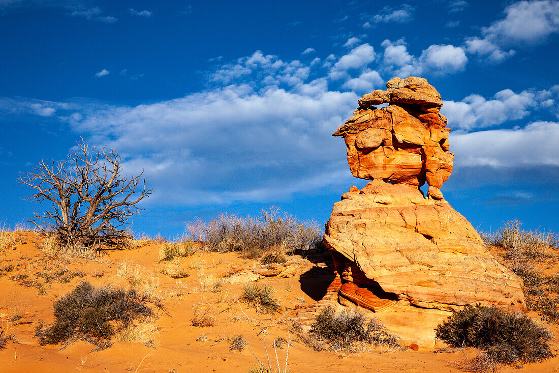 Eroded Navajo sandstone formations in South Coyote Buttes, Vermilion Cliffs National Monument, Arizona.