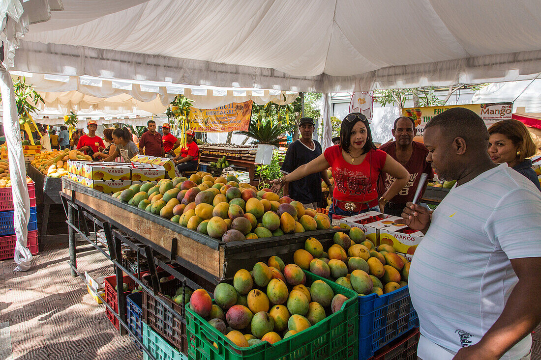Eine gut gekleidete Frau kauft Mangos auf der Mango-Expo in Bani, Dominikanische Republik