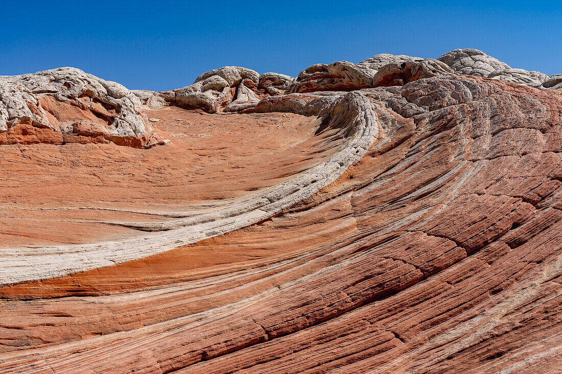 Eroded Navajo sandstone formations in the White Pocket Recreation Area, Vermilion Cliffs National Monument, Arizona.