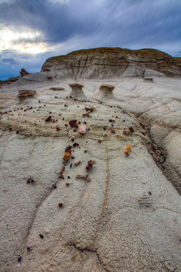Mini-hoodoos and colorful chips of petrified wood in the badlands of the San Juan Basin in New Mexico.