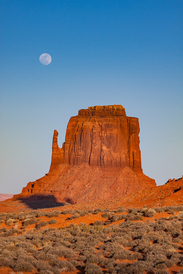 Moon over the East Mitten Butte in the Monument Valley Navajo Tribal Park in Arizona.