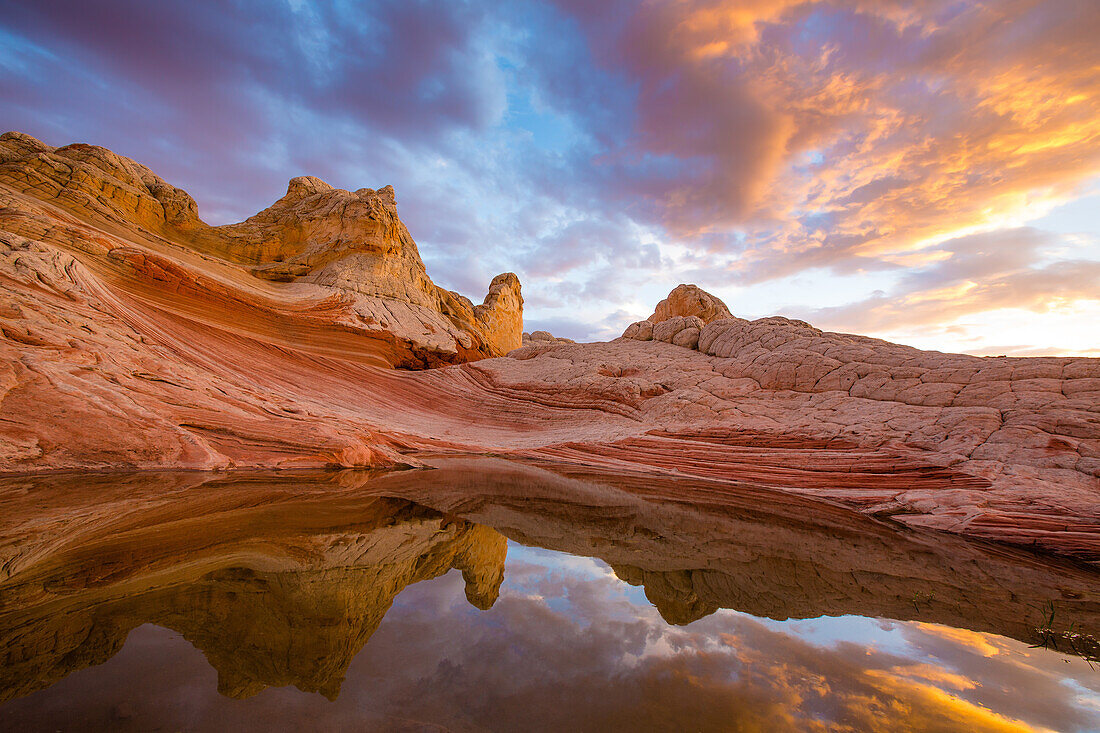 Sonnenuntergangsspiegelung der Zitadelle in einem ephemeren Pool in der White Pocket, Vermilion Cliffs National Monument, Arizona