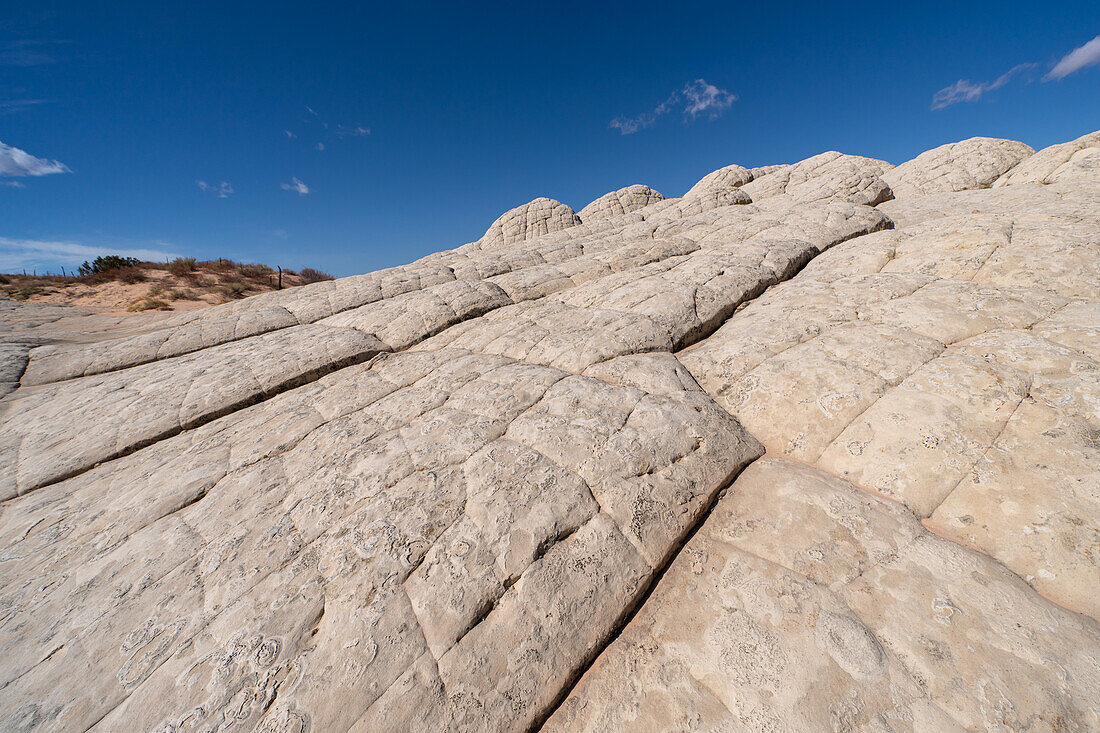 White pillow rock or brain rock sandstone in the White Pocket Recreation Area, Vermilion Cliffs National Monument, Arizona. A form of Navajo sandstone.