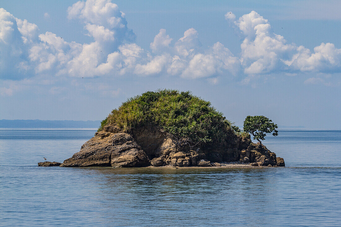 Kleine Kalksteininsel mit einem Seerosenbaum und einem Blaureiher in der Bucht von Samana in der Dominikanischen Republik