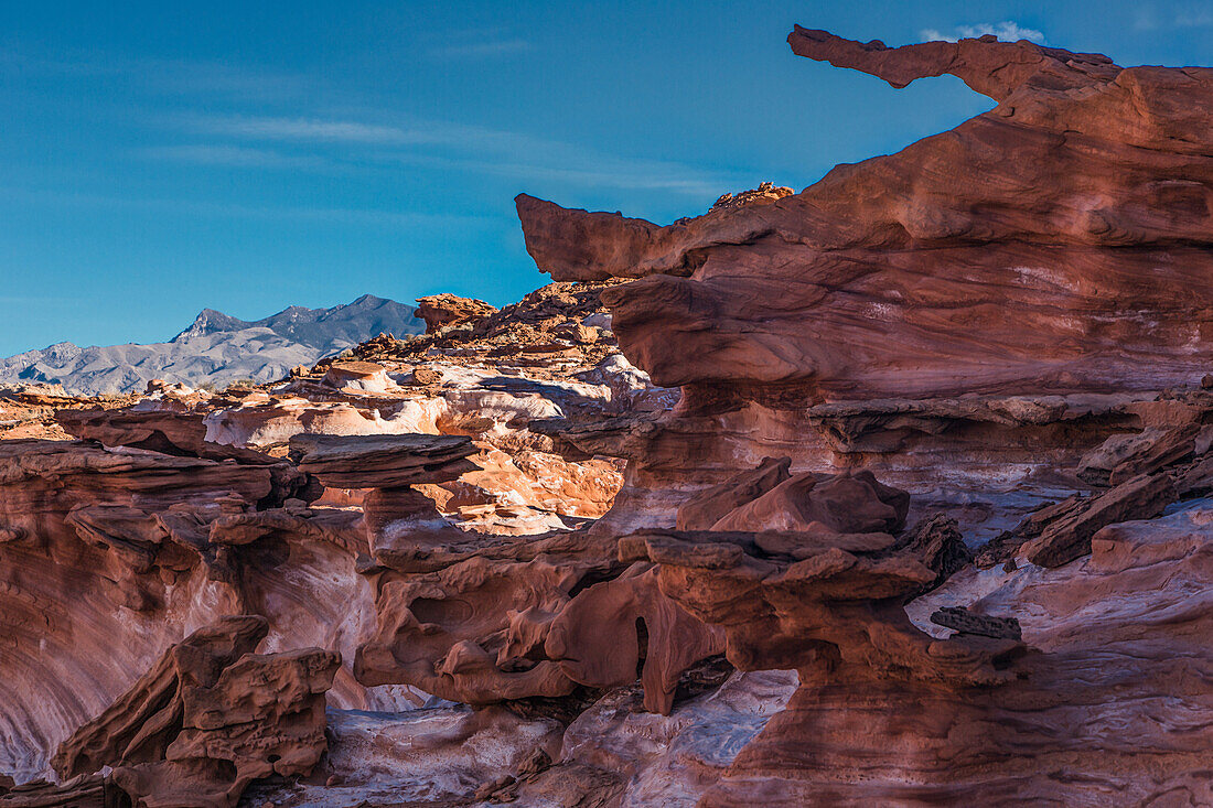 Fragile eroded Aztec sandstone formations in Little Finland, Gold Butte National Monument, Nevada.