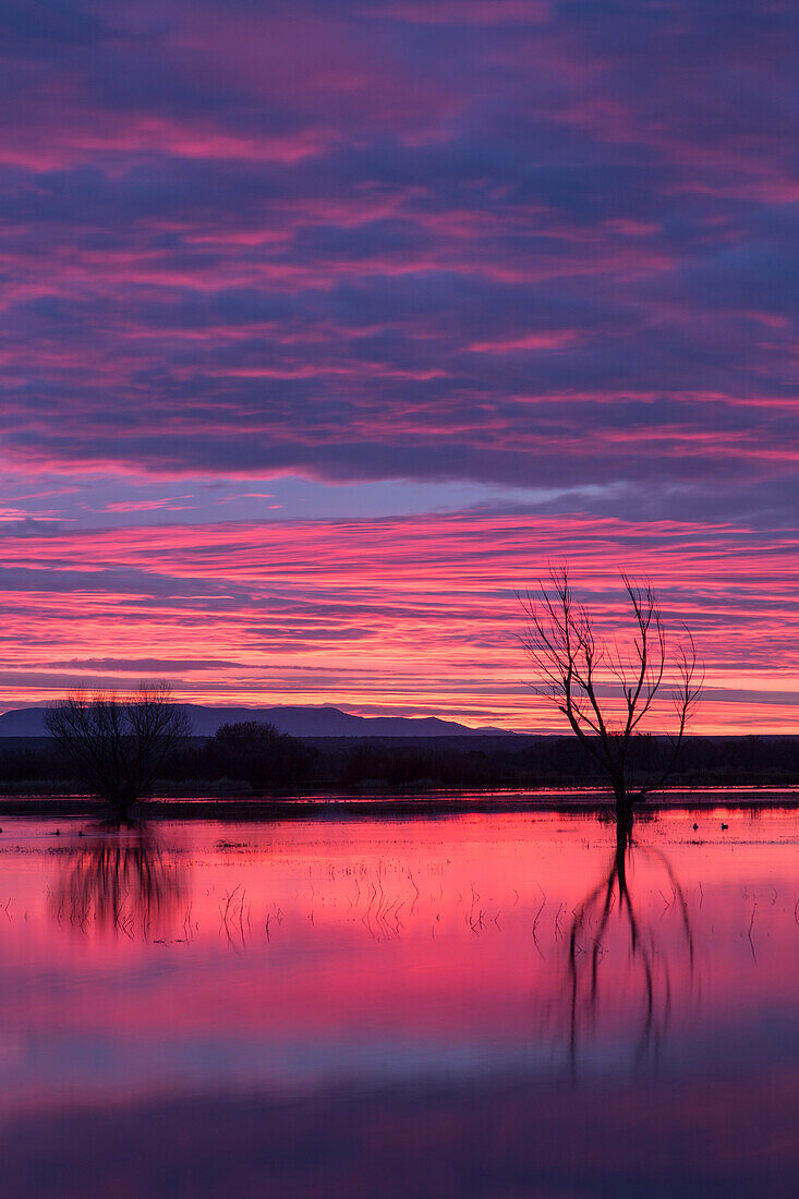 Farbenfrohe Wolken über einem Teich vor Sonnenaufgang im Bosque del Apache National Wildlife Refuge in New Mexico