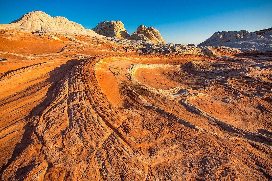 Colorful eroded Navajo sandstone formations in the White Pocket Recreation Area, Vermilion Cliffs National Monument, Arizona.