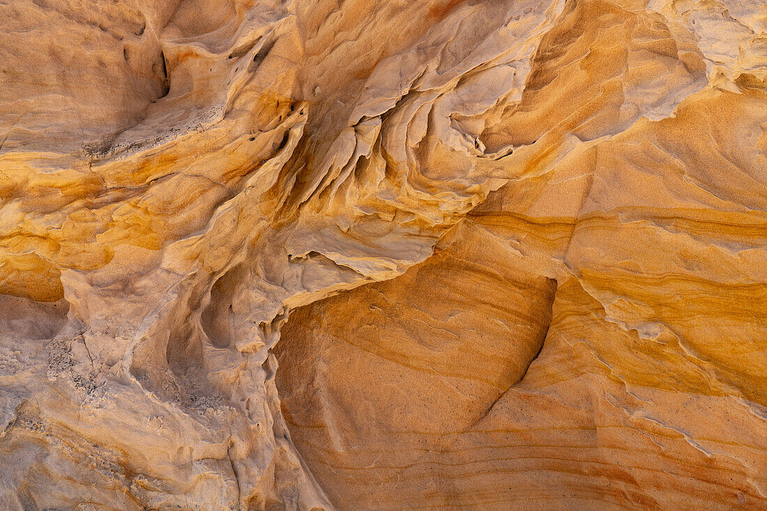 Colorful eroded Navajo sandstone in the White Pocket Recreation Area, Vermilion Cliffs National Monument, Arizona.