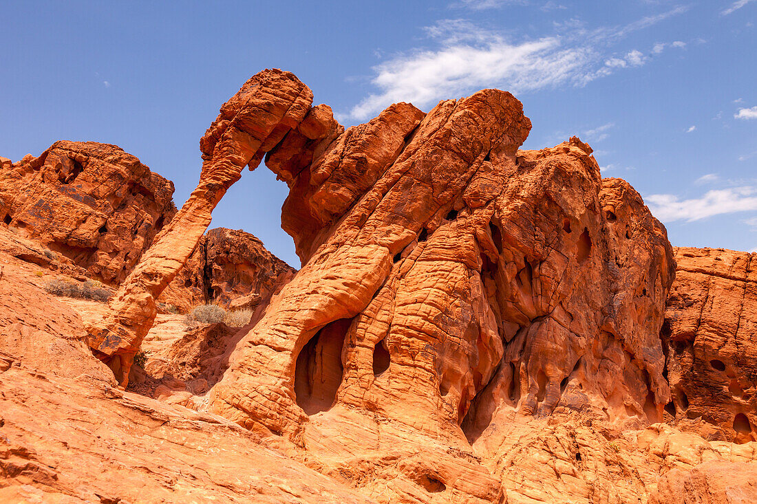 Elephant Rock, a natural arch in the eroded Aztec sandstone of Valley of Fire State Park in Nevada.