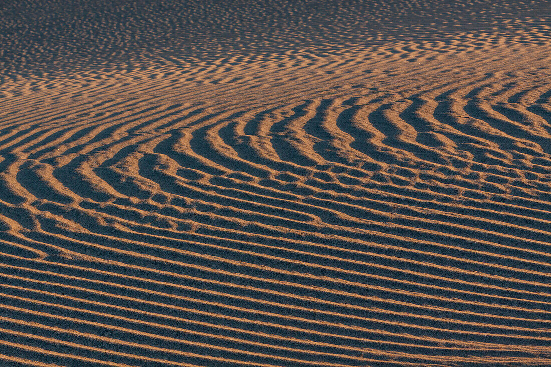 Ripple patterns in the Mesquite Flat sand dunes near Stovepipe Wells in the Mojave Desert in Death Valley National Park, California.