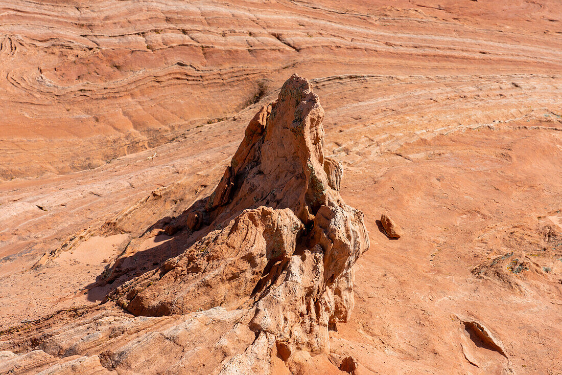 Eroded Navajo sandstone in the White Pocket Recreation Area, Vermilion Cliffs National Monument, Arizona.