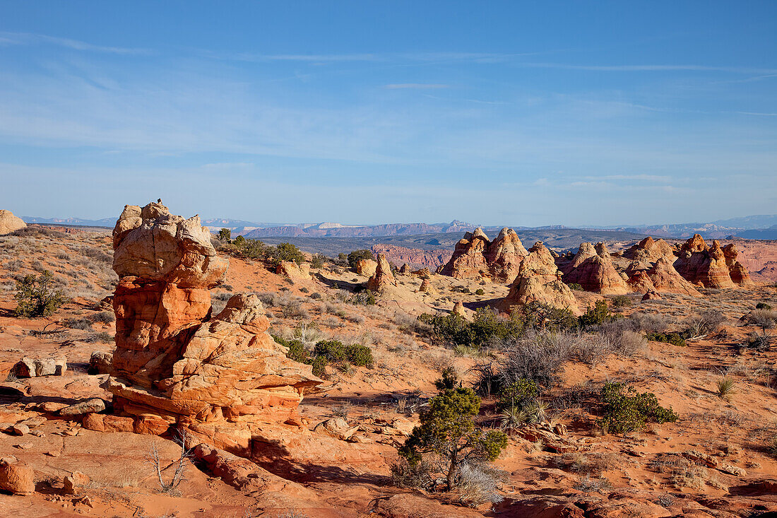 Eroded Navajo sandstone formations in South Coyote Buttes, Vermilion Cliffs National Monument, Arizona.