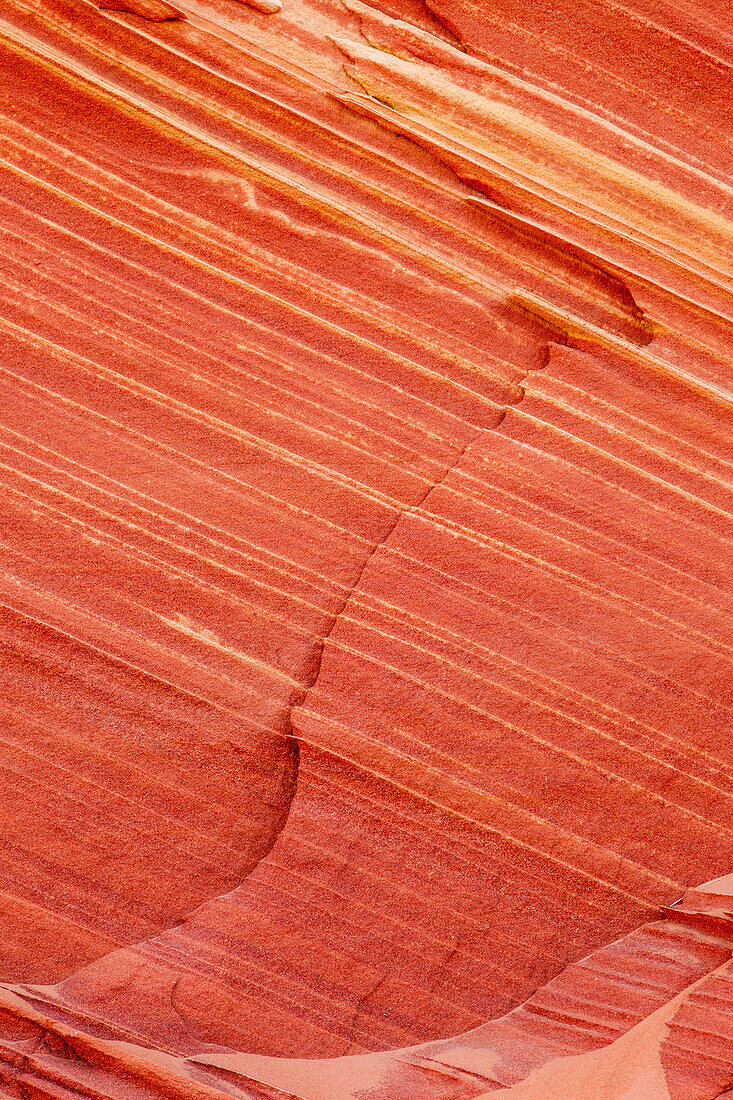 Colorful patterns in the Navajo sandstone in South Coyote Buttes, Vermilion Cliffs National Monument, Arizona.