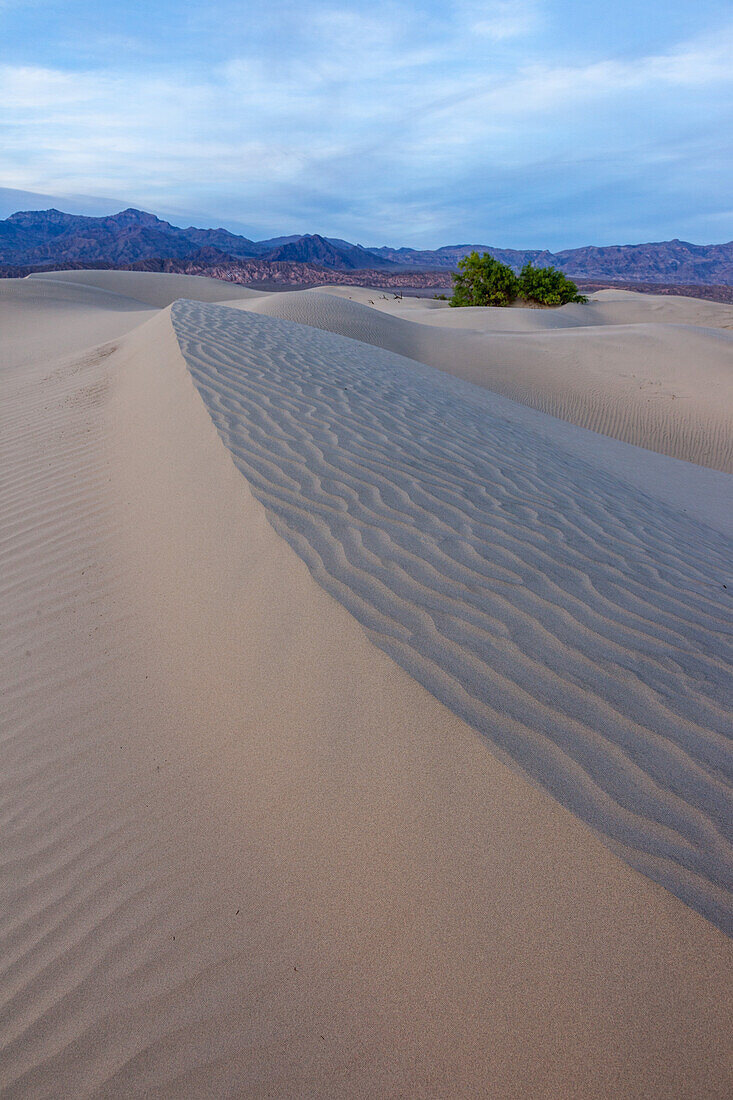 Ripples in the Mesquite Flat sand dunes in Death Valley National Park in the Mojave Desert, California. Black Mountains behind.