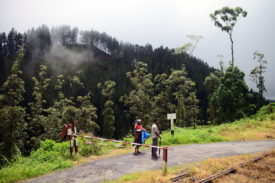 Train ride from Kandy to Nuwara Eliya, Sri Lanka