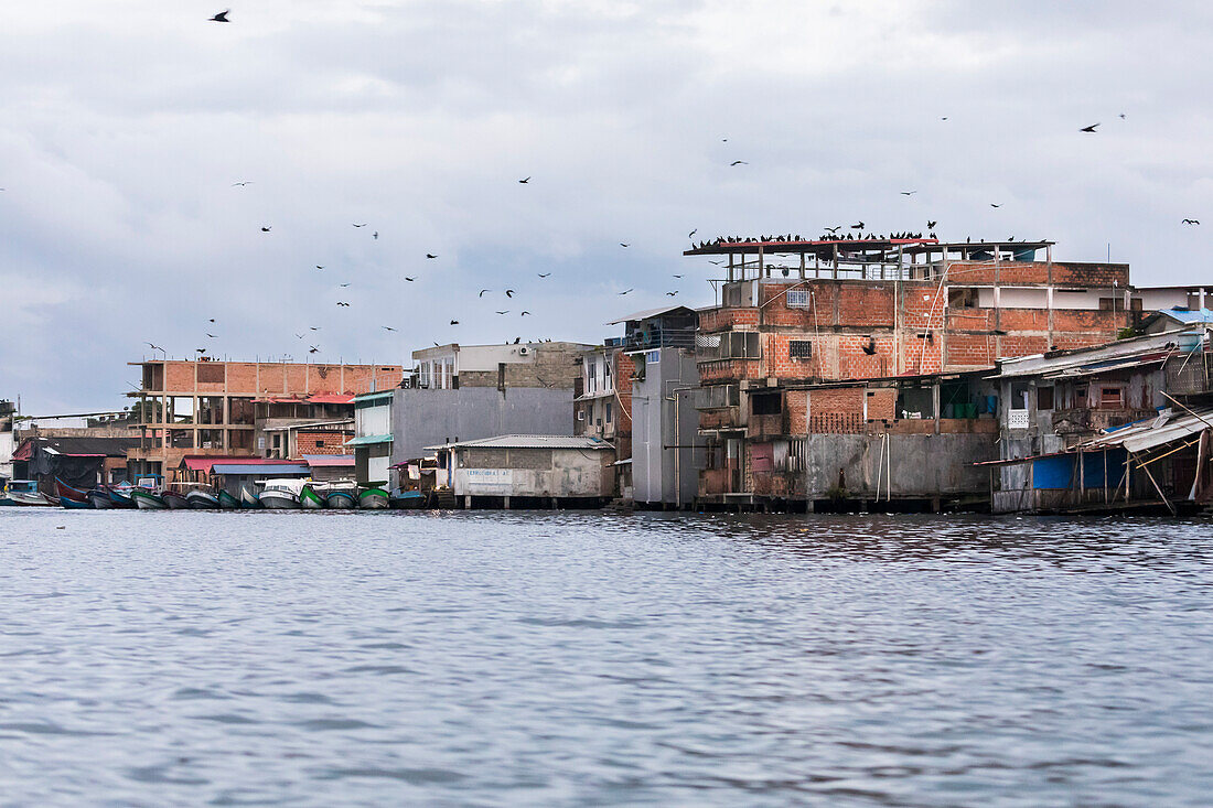 One of the regions most affected by armed conflict and violence generated by drug trafficking, criminal gangs, and insurgent groups is the South Colombian Pacific. And one of the most representative municipalities in this region is the port of San Andrés de Tumaco.