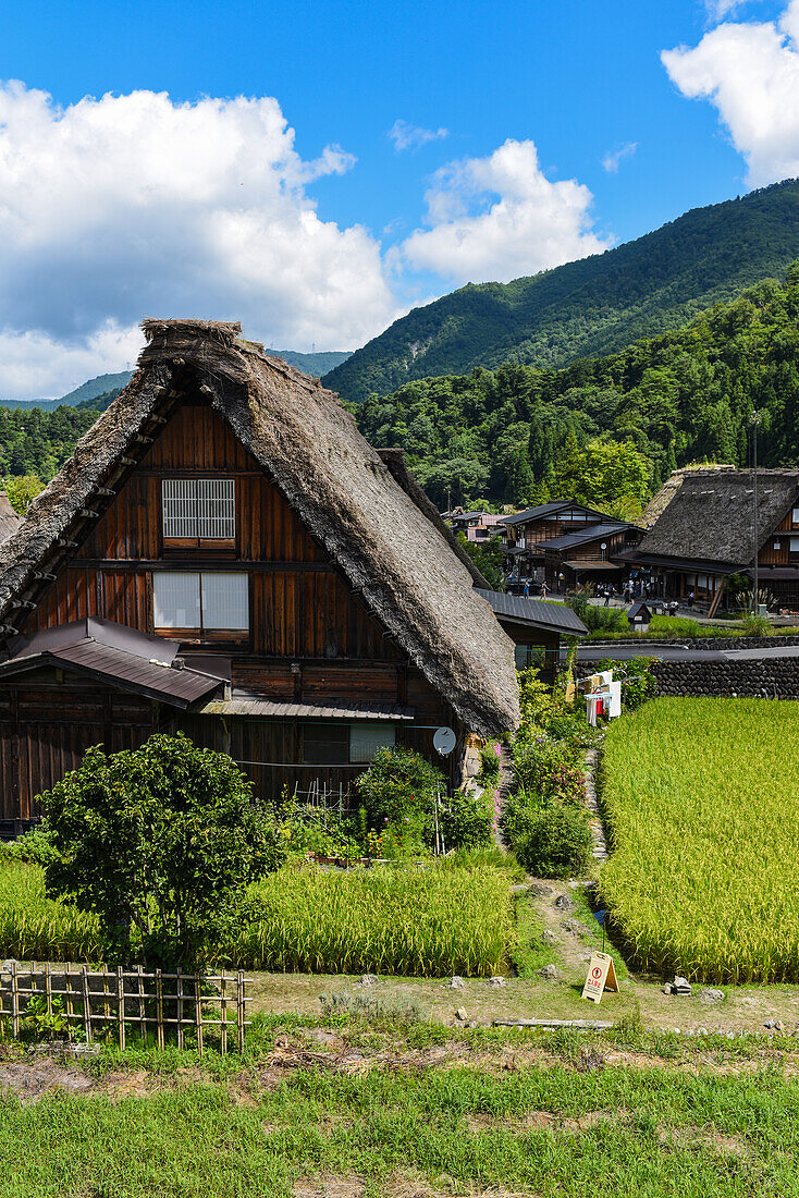 Shirakawa-go, traditional village showcasing a building style known as gassho-zukuri, Gifu Prefecture, Japan