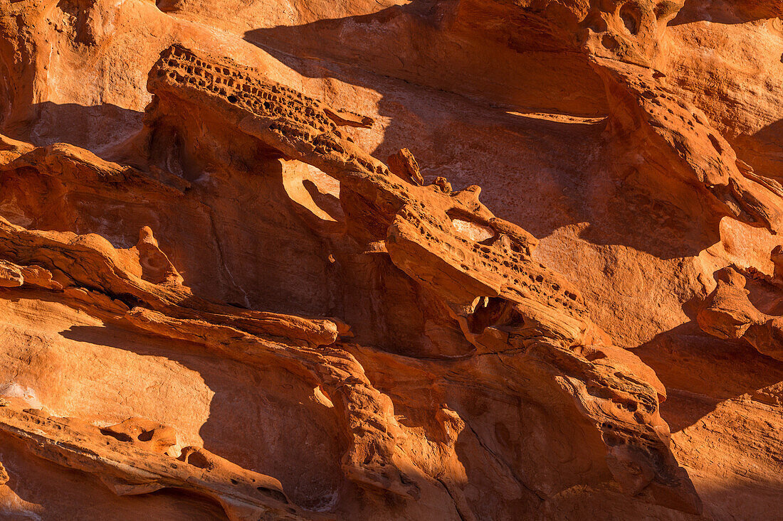 Tafoni & small micro arches in eroded Aztec sandstone in Little Finland, Gold Butte National Monument, Nevada.