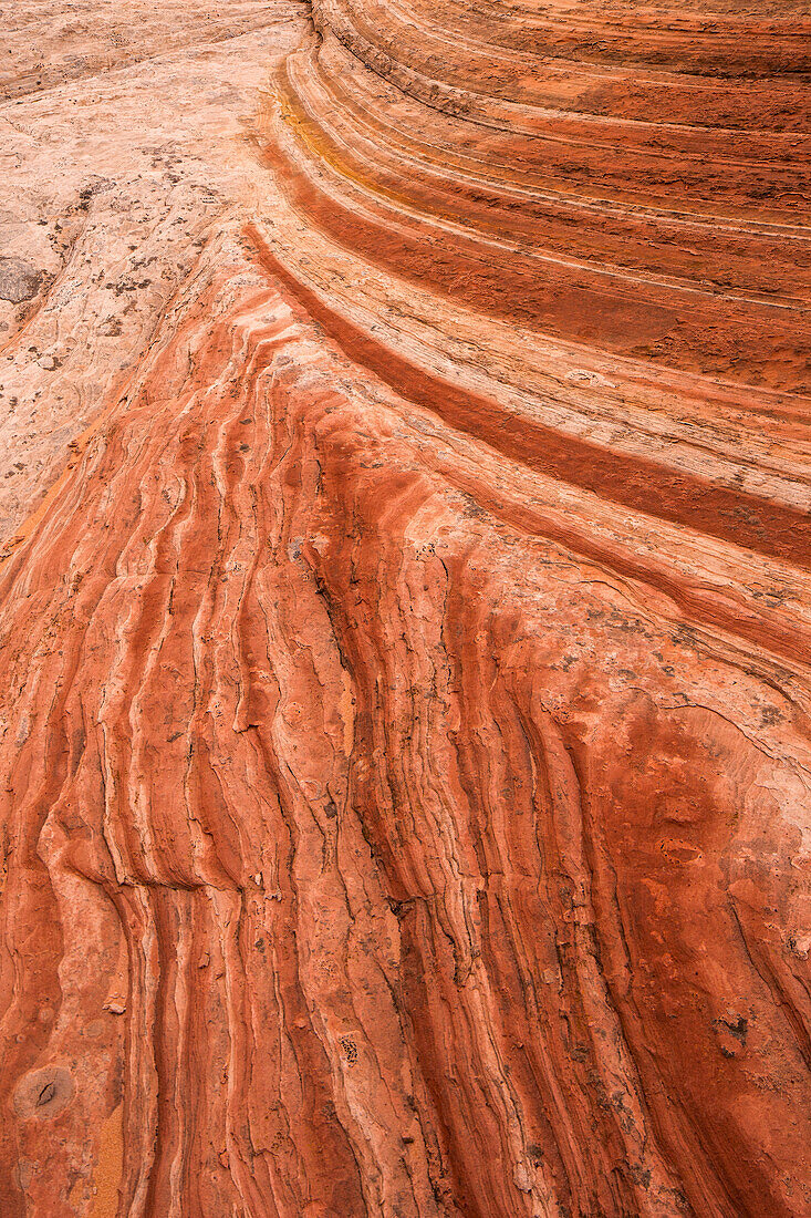 Erodierte Navajo-Sandsteinformationen in der White Pocket Recreation Area, Vermilion Cliffs National Monument, Arizona