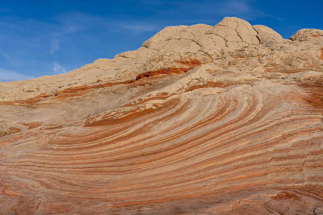 Erodierter weißer Pillow Rock oder Brain Rock Sandstein in der White Pocket Recreation Area, Vermilion Cliffs National Monument, Arizona. Sowohl der rote als auch der weiße Sandstein sind Navajo-Sandstein, aber der rote hat mehr Eisenoxidanteil