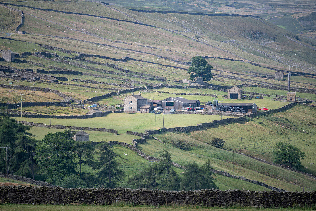 Daytime landscape of green field on a sunny day in Yorkshire Dales England