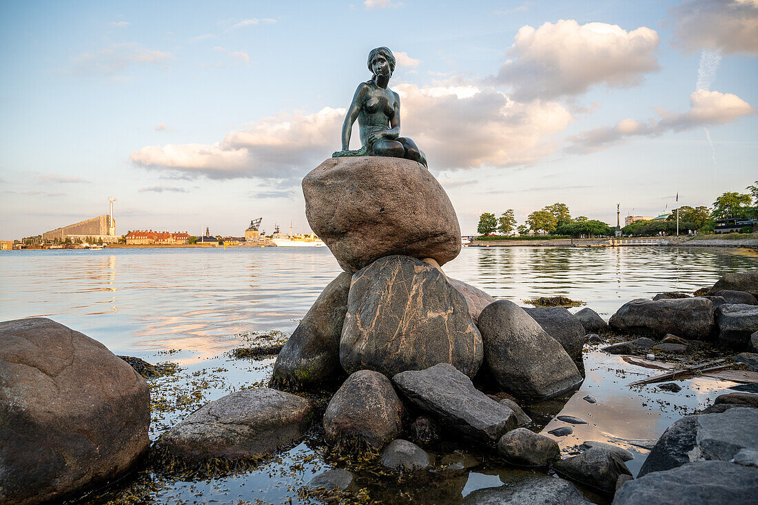 The Little Mermaid Statue at day time in Copenhagen Denmark