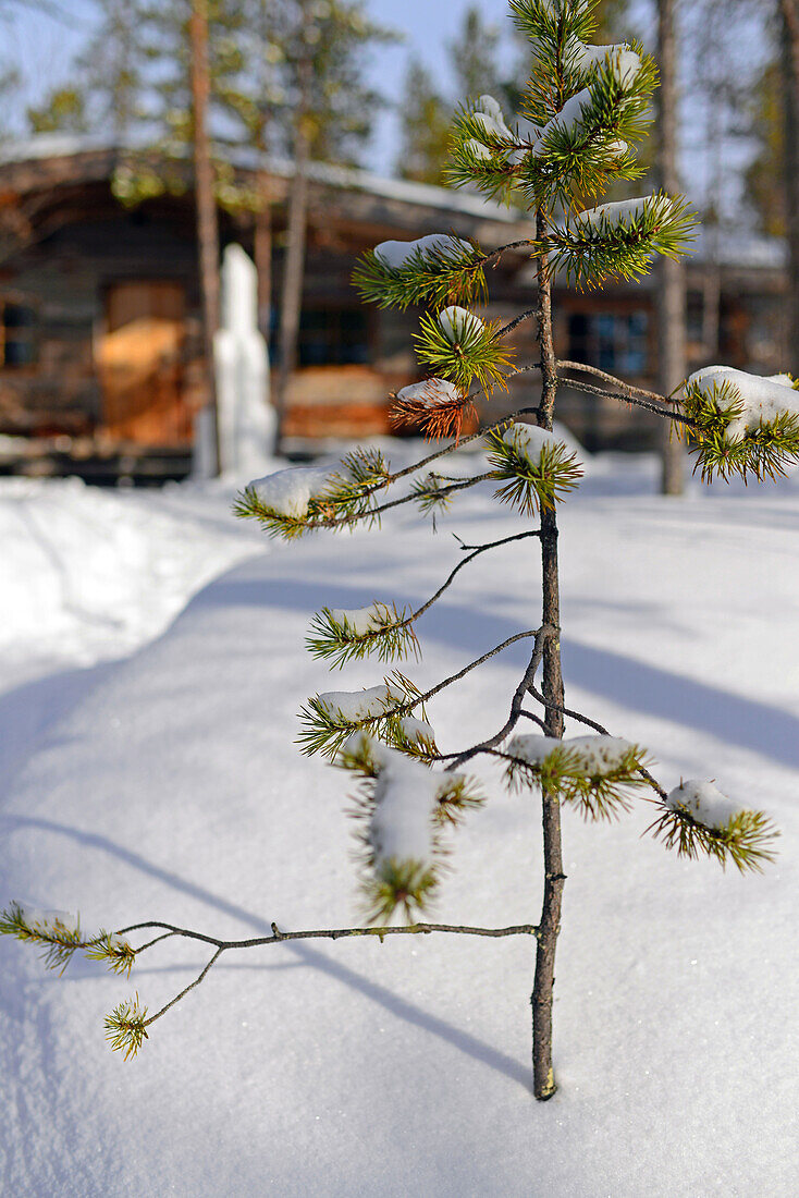 Kakslauttanen Arctic Resort in Saariselka, Finland