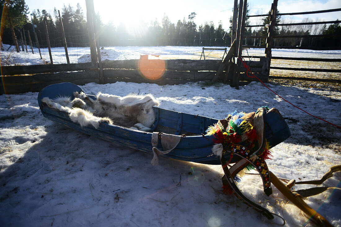 Traditioneller Rentierschlitten. Auf der Rentierfarm von Tuula Airamo, einer Nachfahrin der S?mi, am Muttus-See. Inari, Lappland, Finnland