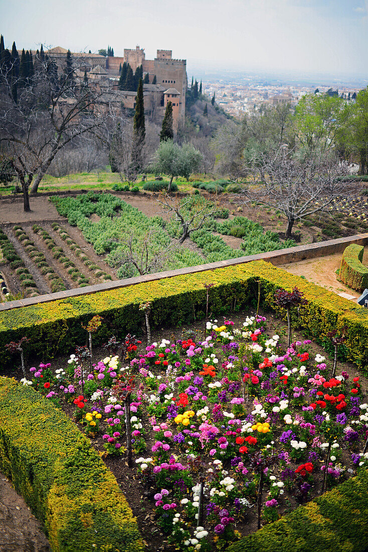Die Gärten des Generalife in der Alhambra, einer Palast- und Festungsanlage in Granada, Andalusien, Spanien