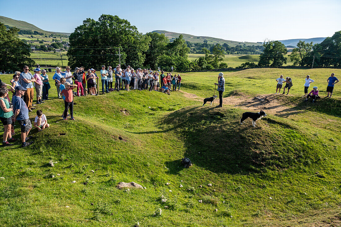 Sheepdog demonstration in Hawes England