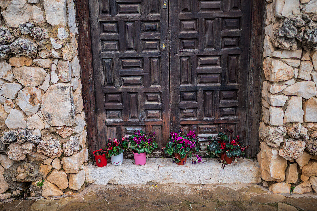 Flower pots decorate old wooden door, Spain