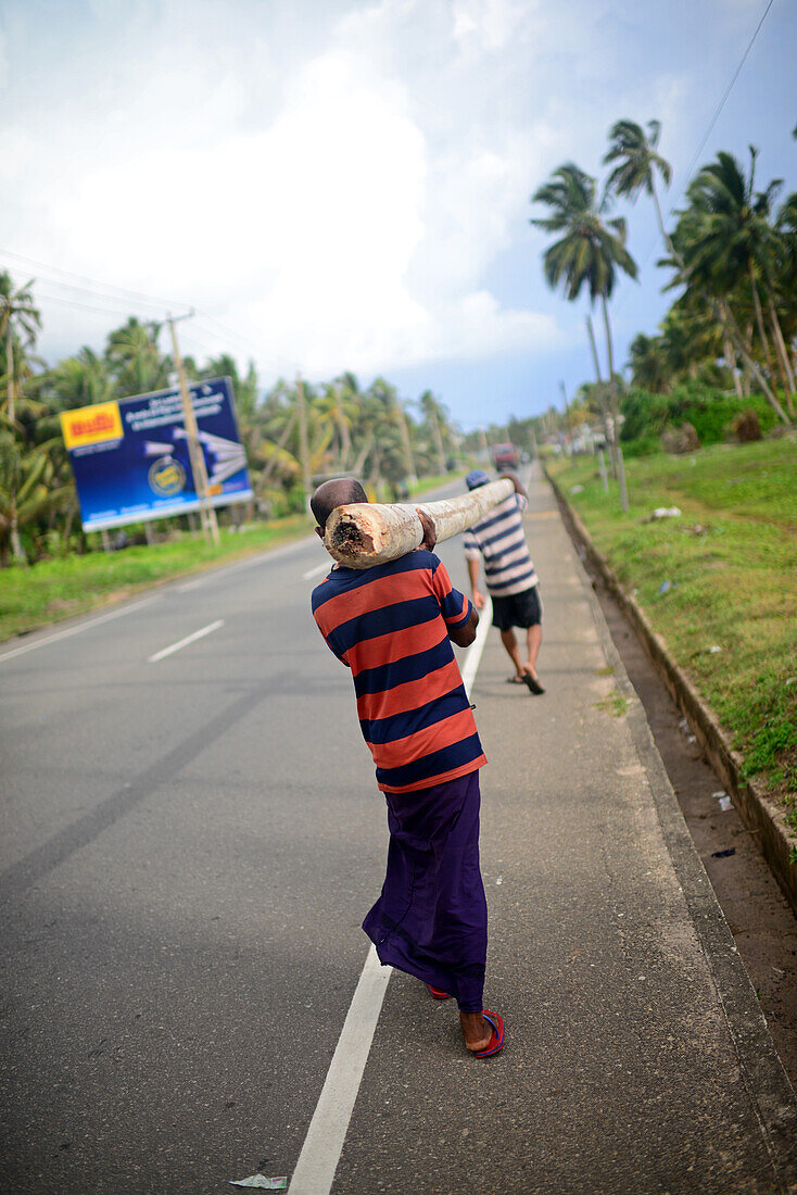 Zwei Männer tragen einen Baumstamm auf der Straße, Peraliya, Sri Lanka