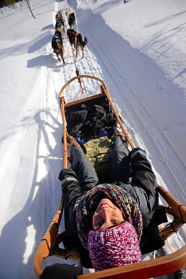 Junge Frau genießt eine Husky-Schlittentour in der Taiga mit Bearhillhusky in Rovaniemi, Lappland, Finnland