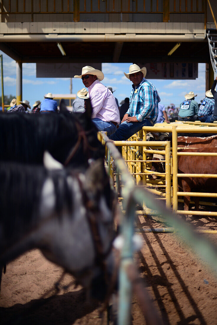 Rodeo competition during Navajo Nation Fair, a world-renowned event that showcases Navajo Agriculture, Fine Arts and Crafts, with the promotion and preservation of the Navajo heritage by providing cultural entertainment. Window Rock, Arizona.