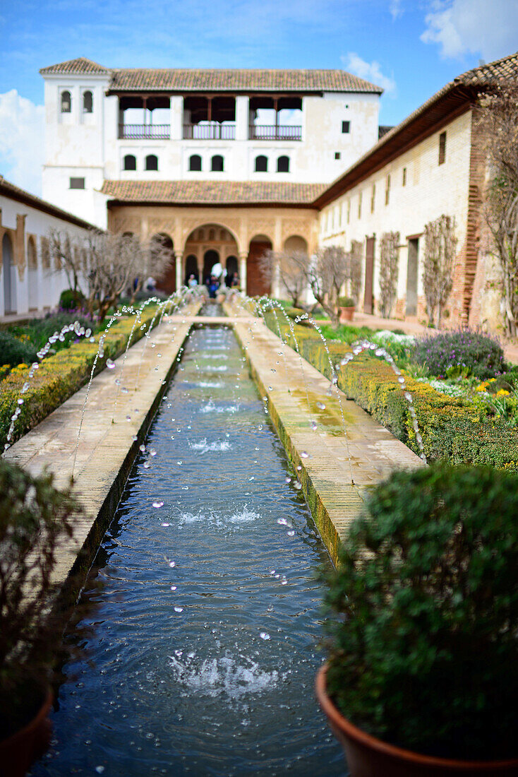 The Gardens of the Generalife in The Alhambra, palace and fortress complex located in Granada, Andalusia, Spain