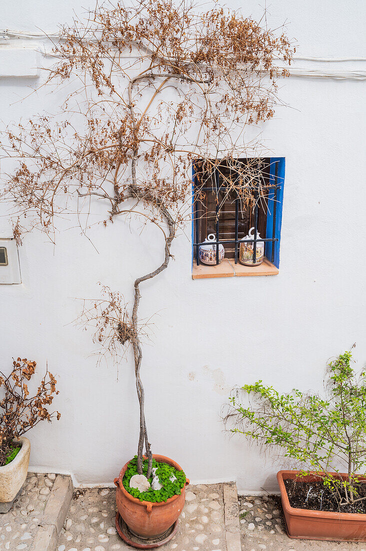 Altea old town, Alicante, Spain