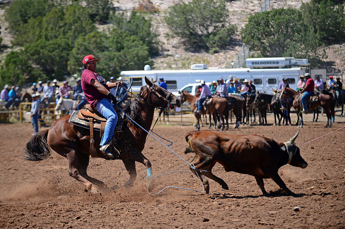 Rodeo-Wettbewerb während der Navajo Nation Fair, einer weltbekannten Veranstaltung, die die Landwirtschaft, die Kunst und das Kunsthandwerk der Navajo vorstellt und durch kulturelle Unterhaltung das Erbe der Navajo fördert und bewahrt. Window Rock, Arizona