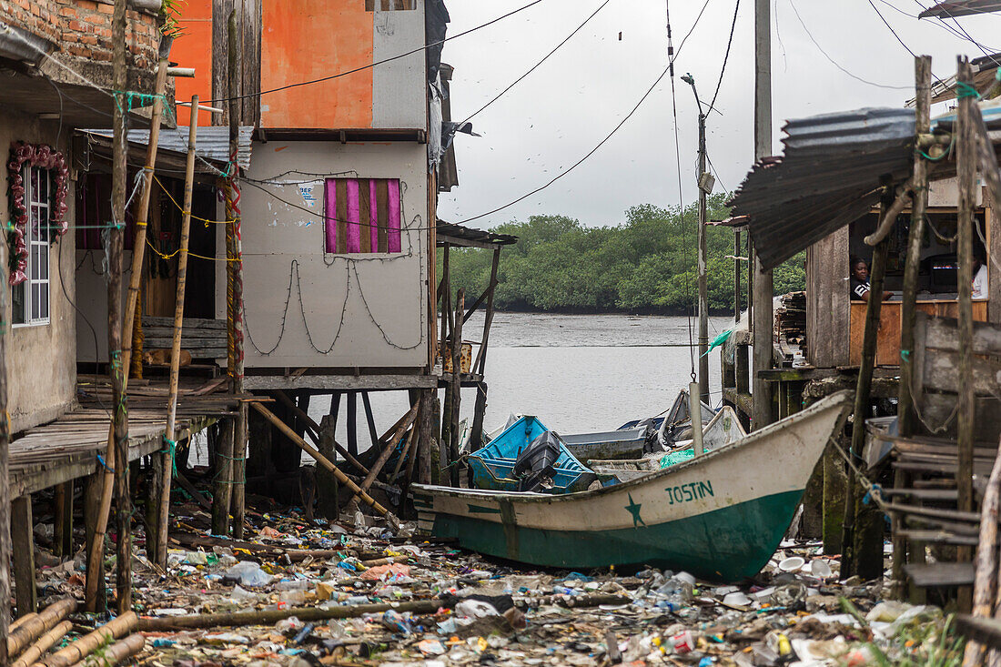 One of the regions most affected by armed conflict and violence generated by drug trafficking, criminal gangs, and insurgent groups is the South Colombian Pacific. And one of the most representative municipalities in this region is the port of San Andrés de Tumaco.