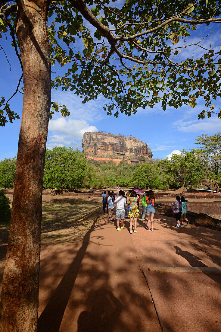 Sigiriya or Sinhagiri, ancient rock fortress located in the northern Matale District near the town of Dambulla in the Central Province, Sri Lanka.