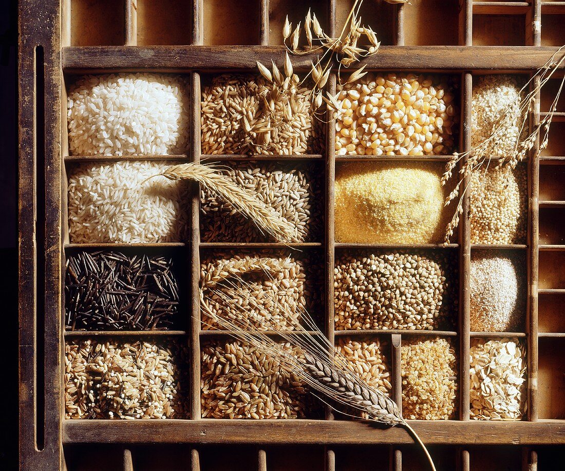 Mehrere Getreide- & Reissorten im Holzkasten