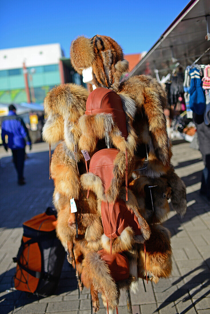 Straßenmarkt in Rovaniemi, Lappland, Finnland