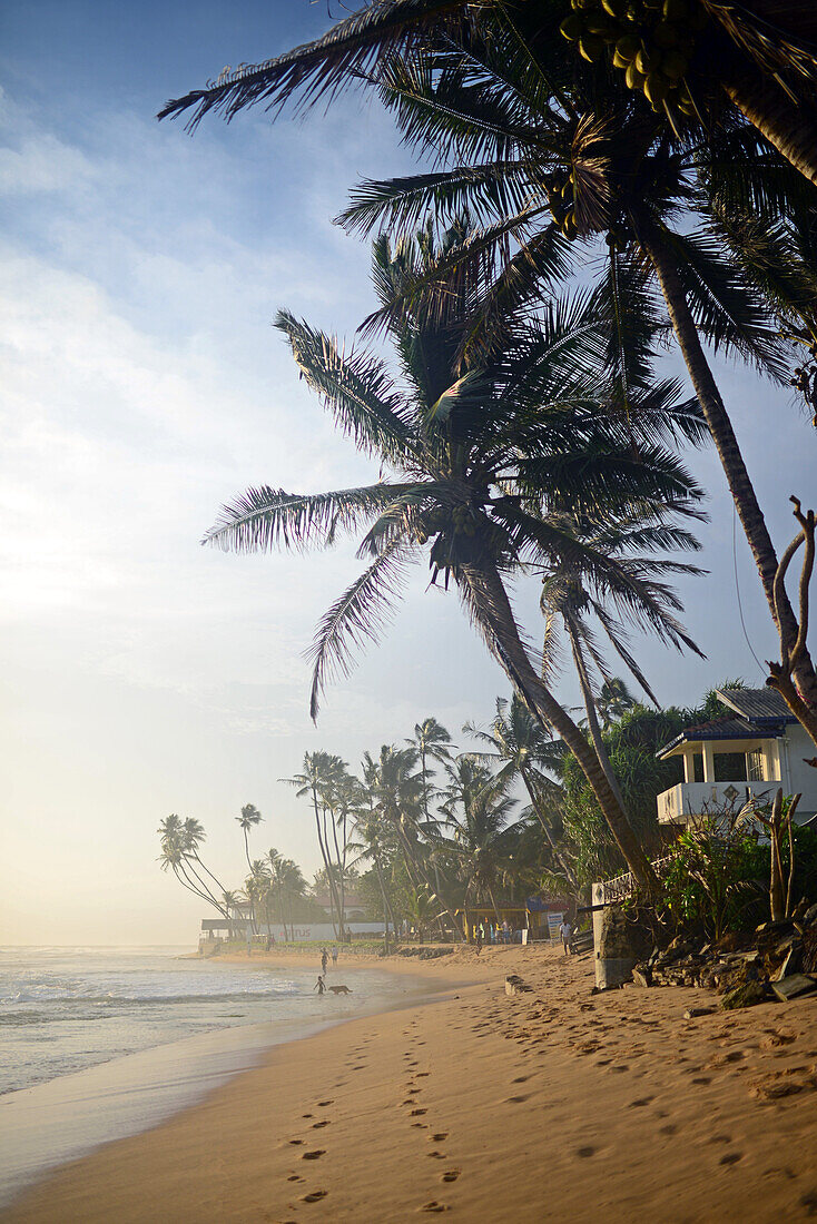 Hikkaduwa beach at sunset, Sri Lanka